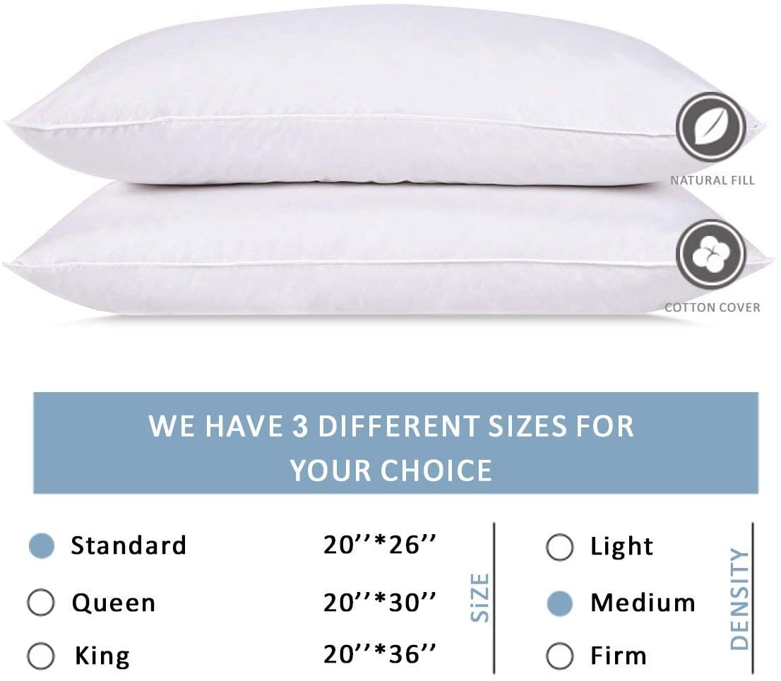 White Duck 5/95 Bed Pillow- King (6)