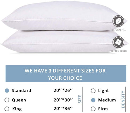 White Duck 5/95  Bed Pillow- Queen  (8)